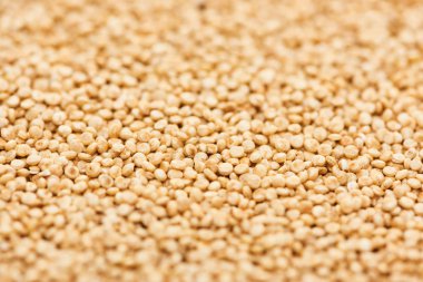 organik ham beyaz Quinoa yakın görünümü 