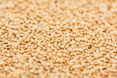 close up view of organic raw white quinoa  clipart