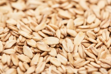 close up view of raw pressed organic oats clipart
