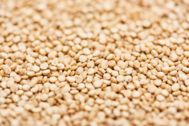 close up view of small white quinoa seeds clipart