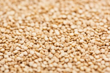 küçük ham beyaz Quinoa tohumları nın yakın görünümü