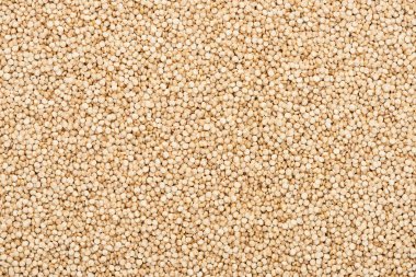 top view of unprocessed white quinoa seeds clipart