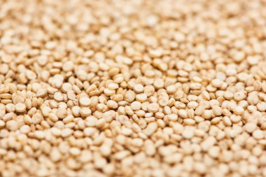 işlenmemiş beyaz Quinoa tohumlarının yakından görünümü