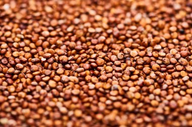 ham organik kırmızı Quinoa tohumları nın yakın görünümü