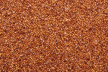 pişmemiş organik kırmızı Quinoa tohumları üst görünümü