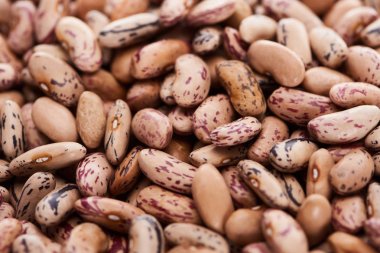 close up view of uncooked organic pinto beans clipart