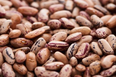 close up view of raw organic pinto beans clipart