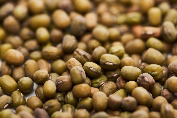 close up view of uncooked green moong beans