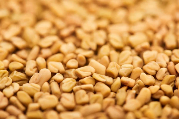 Vista Ravvicinata Bulgur Cereali Integrali Crudi — Foto Stock