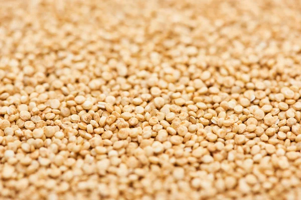 Ongekookte Zaden Van Biologische Witte Quinoa — Stockfoto