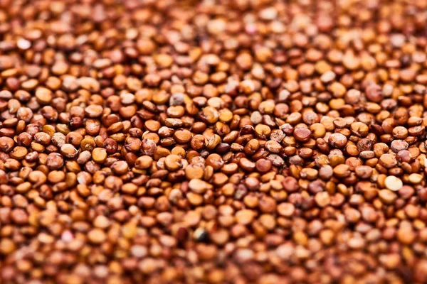 Nahaufnahme Von Rohen Roten Bio Quinoa — Stockfoto