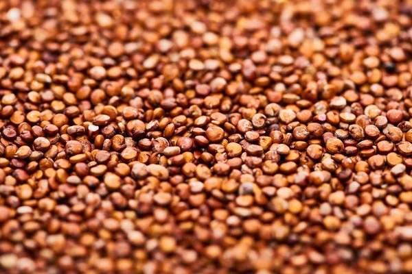 Vista Ravvicinata Dei Semi Quinoa Rossa Biologica Cruda — Foto Stock