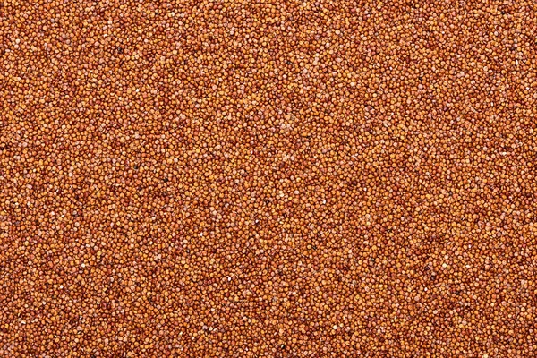 Draufsicht Auf Rohe Rote Bio Quinoa — Stockfoto
