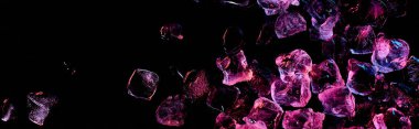 panoramic shot of transparent ice cubes with purple light isolated on black clipart