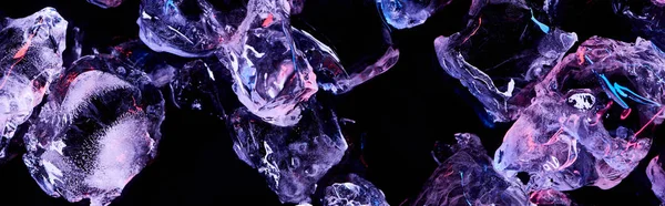 Панорамный Снимок Прозрачных Кубиков Льда Фиолетовым Освещением Изолирован Черном — стоковое фото