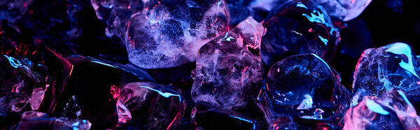 panoramic shot of clear ice cubes with purple colorful lighting isolated on black