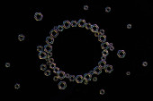 pohled shora na kruh roztroušených kovových matic izolovaných na černém