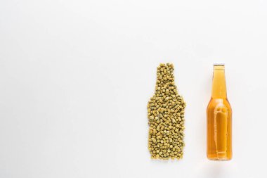 beyaz izole preslenmiş hop yakın hafif bira şişesi üst görünümü