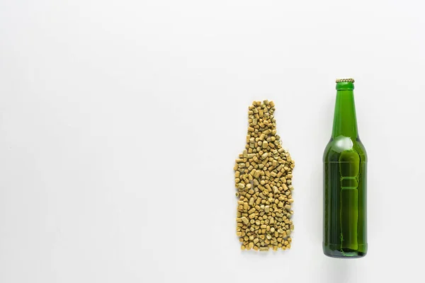 Top View Bottle Beer Pressed Hop Isolated White — Stock Photo, Image