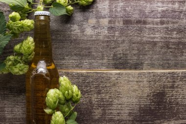 ahşap yüzeyüzerinde yeşil hop ile şişede bira üst görünümü