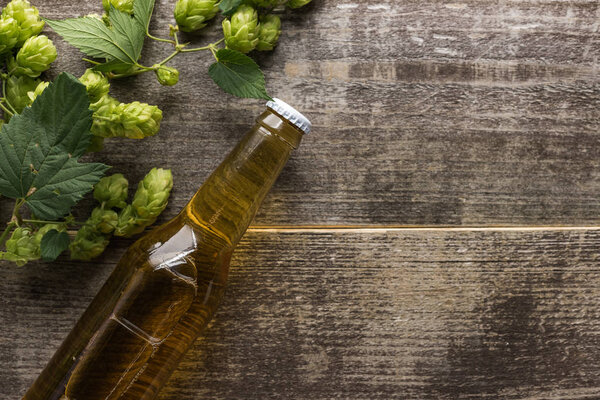 top view of beer in bottle with green hop on wooden background