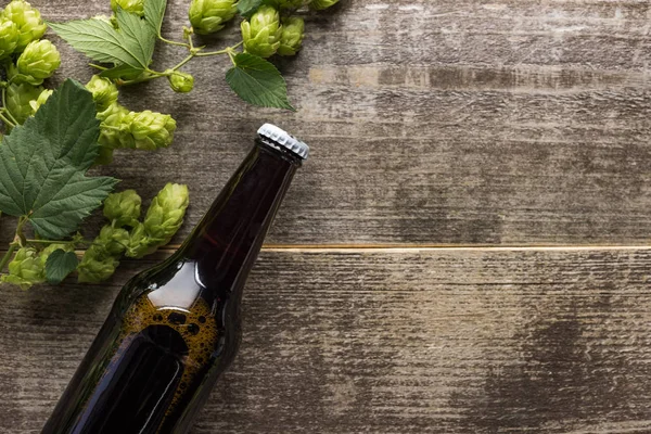 Vista Superior Cerveza Botella Marrón Con Lúpulo Verde Sobre Fondo — Foto de Stock