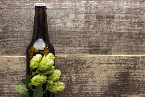 Vista Superior Cerveza Fresca Botella Con Lúpulo Verde Sobre Superficie —  Fotos de Stock