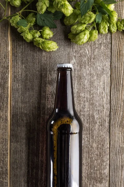 Top Uitzicht Bier Met Groene Hop Houten Oppervlak — Stockfoto