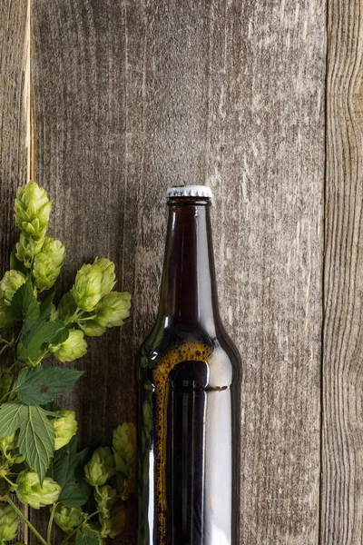 Vista Superior Cerveza Con Lúpulo Verde Sobre Fondo Madera — Foto de Stock