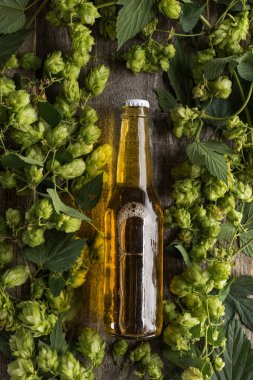 top view of beer in bottle in green hop on wooden background clipart