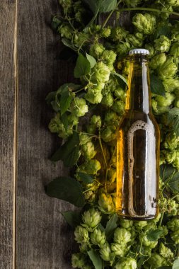 top view of beer in bottle on green hop on wooden background clipart