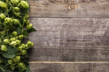 top view of green hop on wooden background with copy space clipart