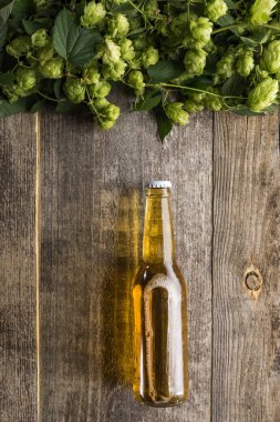 ahşap arka plan üzerinde yeşil hop ile şişede bira üst görünümü