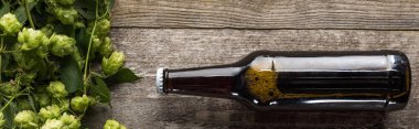 top view of bottled beer near hop on wooden background, panoramic shot clipart