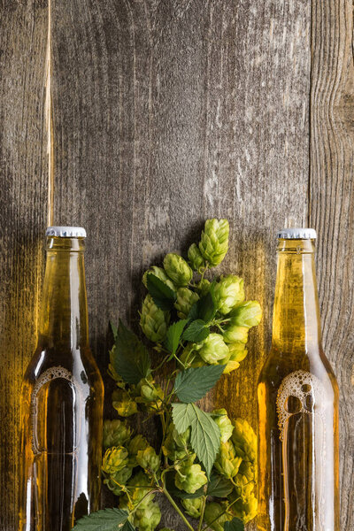 top view of beer in bottles with green hop on wooden background