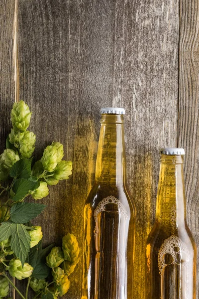top view of beer in bottles with green hop on wooden background with copy space