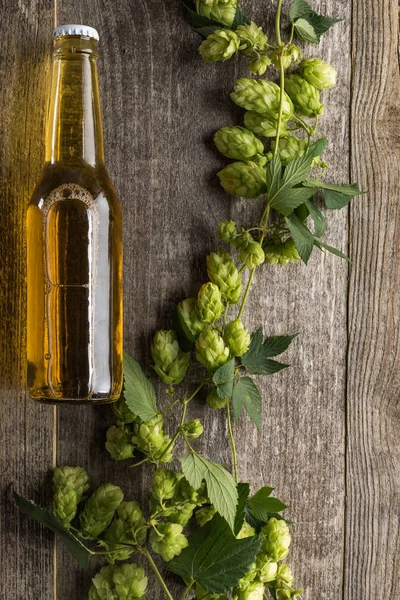 Vista Superior Cerveza Botella Con Lúpulo Verde Sobre Fondo Madera —  Fotos de Stock