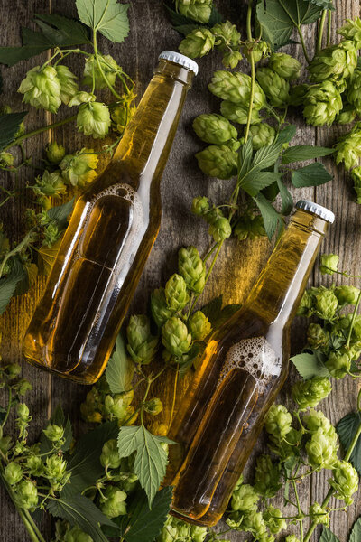 top view of beer in bottles with green hop on wooden table