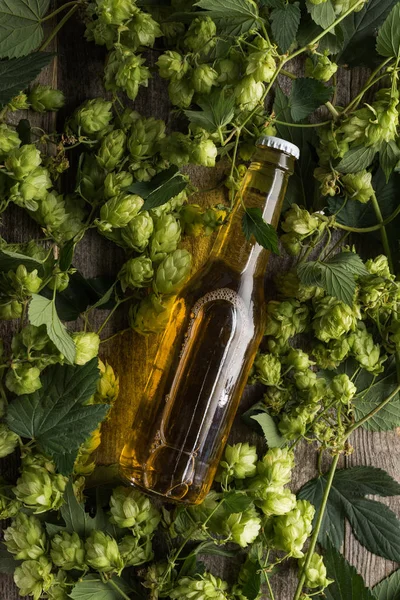 Вид Зверху Пиво Пляшці Зеленому Хопі — стокове фото