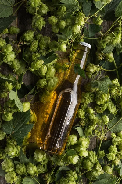 Vista Dall Alto Della Birra Bottiglia Nel Green Hop — Foto Stock