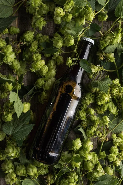 Top Uitzicht Bier Fles Groene Bloeiende Hop — Stockfoto