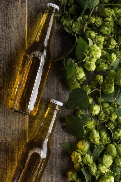 top view of beer in bottles near green hop on wooden background