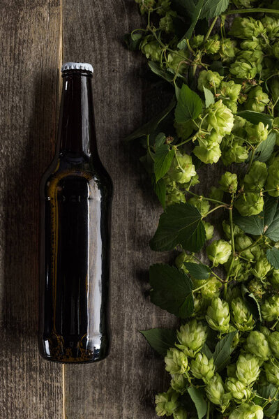 top view of beer in bottle near hop on wooden background