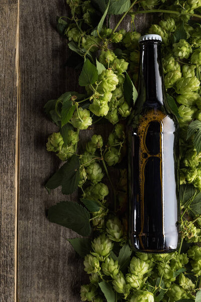 top view of beer in brown bottle on green hop on wooden background