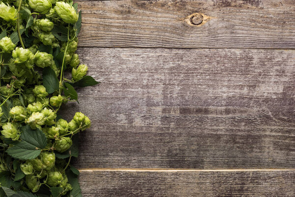 top view of green hop on wooden background with copy space