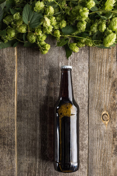 top view of beer in brown bottle with green hop above on wooden background