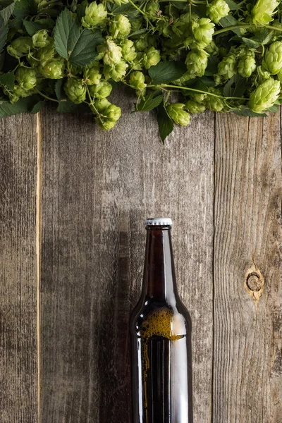 木製のテーブルの上に緑のホップとボトルのビールのトップビュー — ストック写真