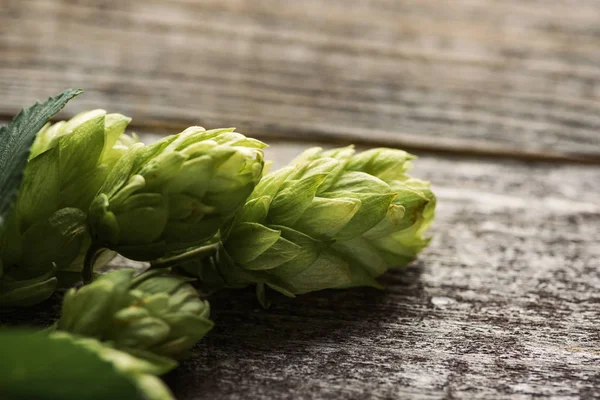 Vue Rapprochée Houblon Vert Sur Table Bois — Photo