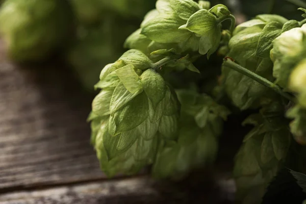 Vue Rapprochée Houblon Vert Sur Surface Bois — Photo