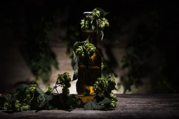 Arka Işık Ile Karanlıkta Ahşap Masada Şişe Yeşil Hop Bira — Stok fotoğraf